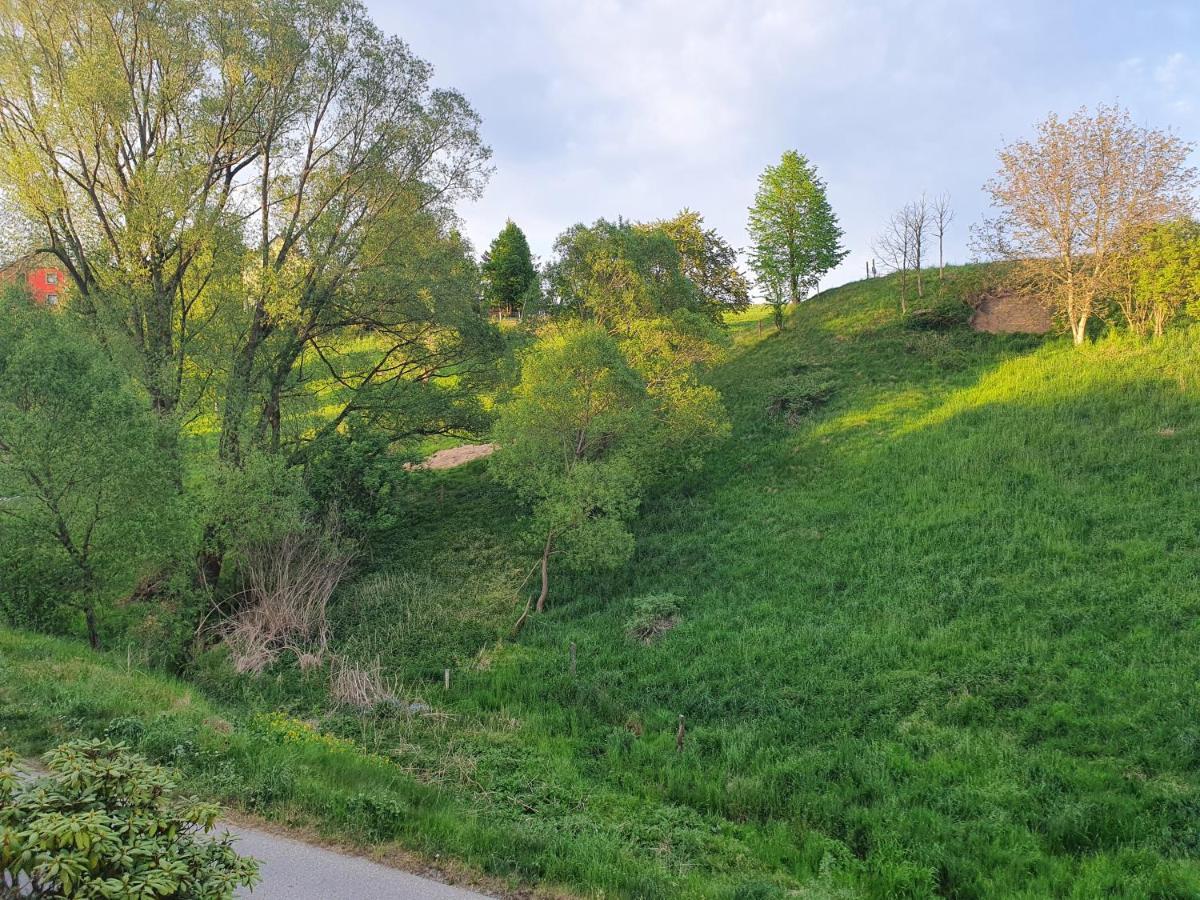 Fewo-Hierundjetzt Lichtenhain Bei Sebnitz Am Malerweg Kültér fotó